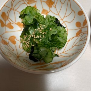 簡単！きゅうりとわかめの酢の物